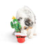 Huxley & Kent Seek'n Treat Prickly & Bright Pawt Dog Toy